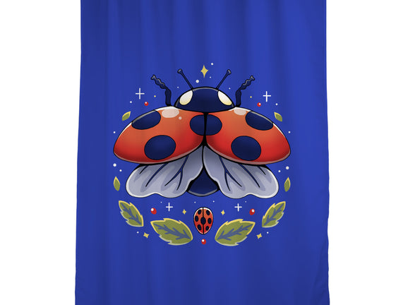 Ladybug Magic