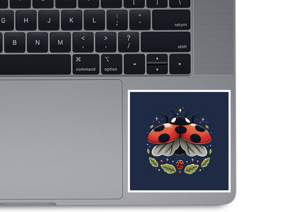 Ladybug Magic
