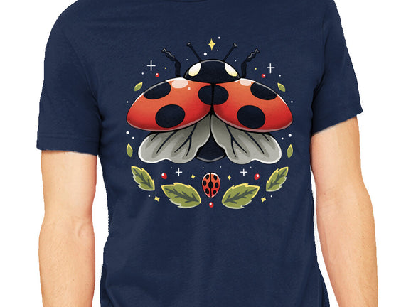 Ladybug Magic