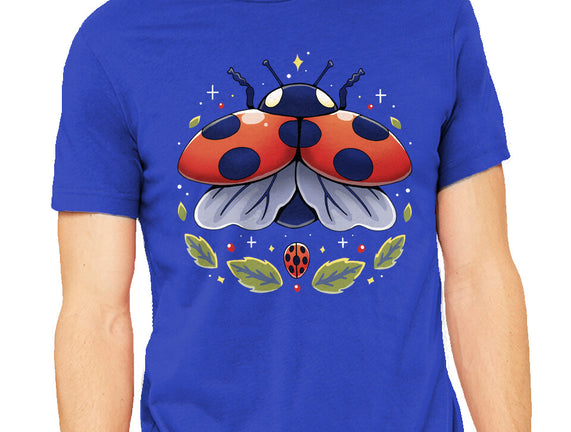 Ladybug Magic
