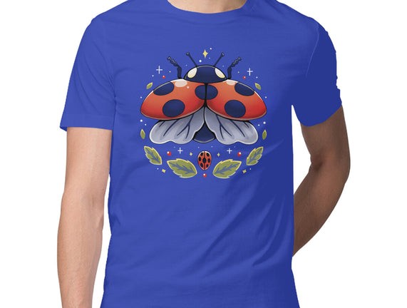 Ladybug Magic