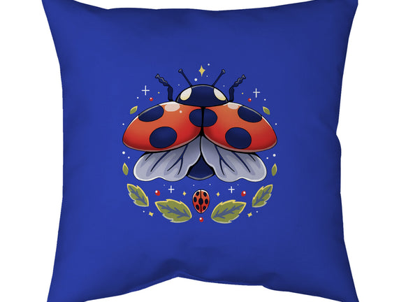 Ladybug Magic