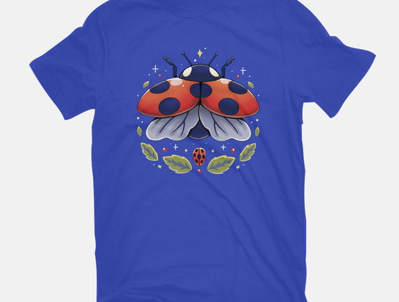 Ladybug Magic