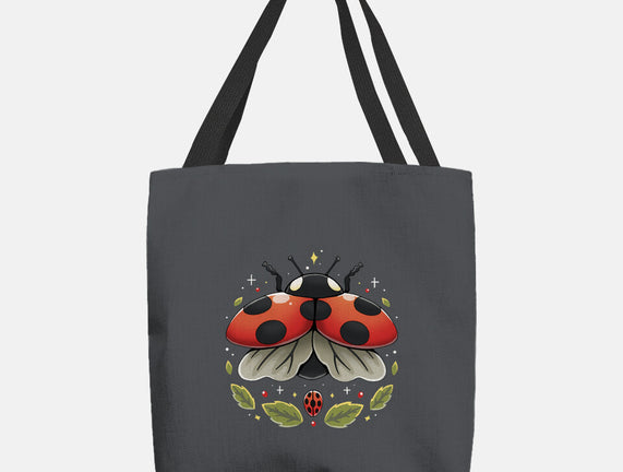 Ladybug Magic