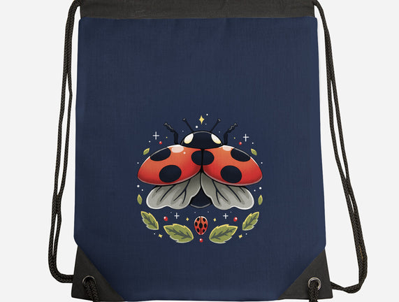 Ladybug Magic