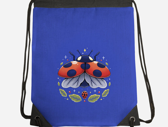 Ladybug Magic