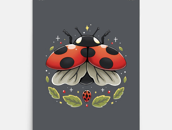 Ladybug Magic