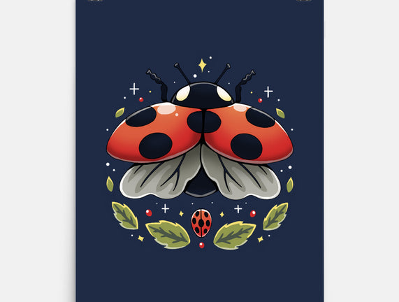Ladybug Magic