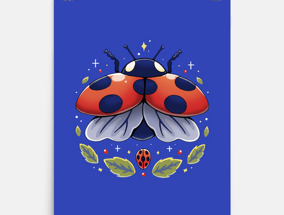 Ladybug Magic