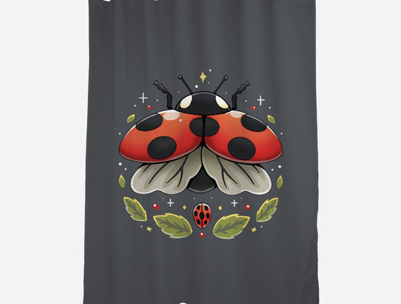 Ladybug Magic