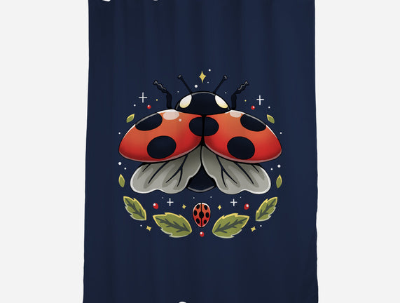 Ladybug Magic
