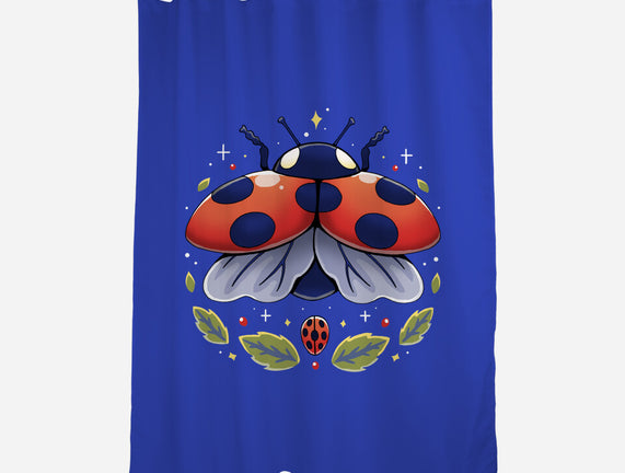 Ladybug Magic