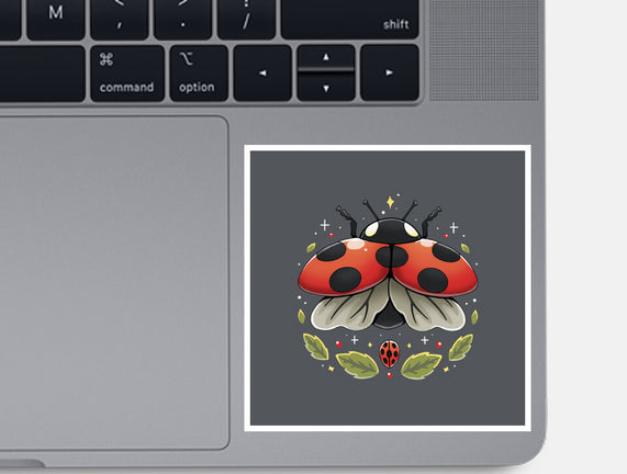 Ladybug Magic