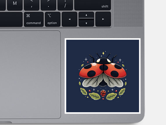 Ladybug Magic