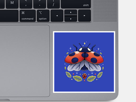 Ladybug Magic