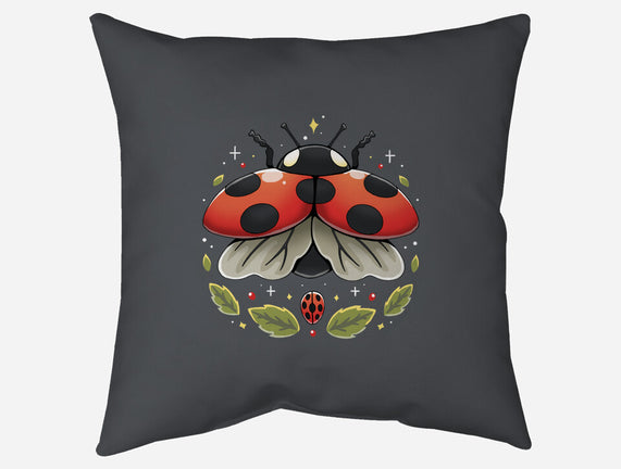 Ladybug Magic