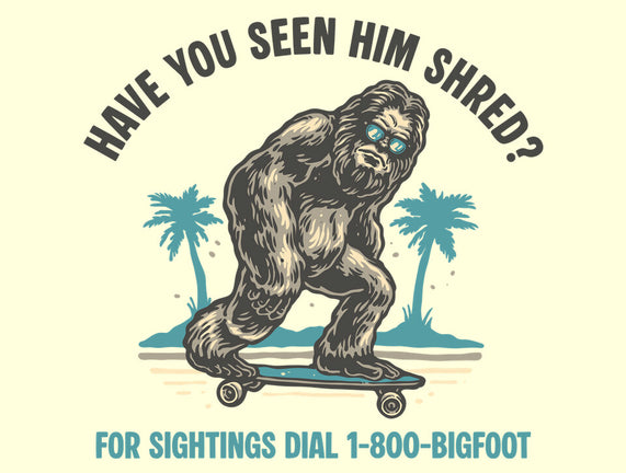 Have You Seen Him Shred