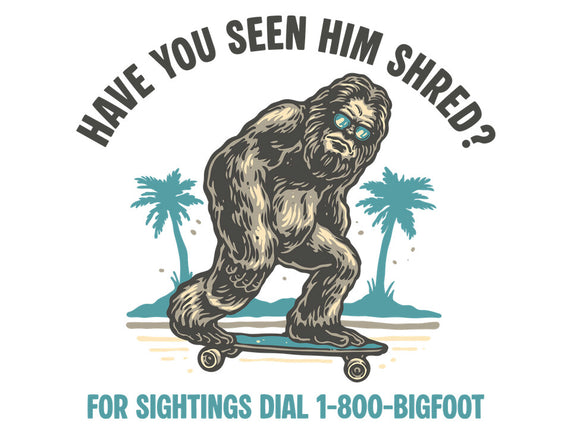 Have You Seen Him Shred