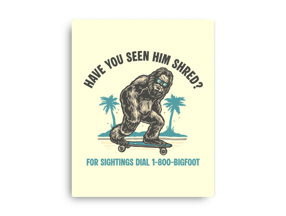 Have You Seen Him Shred