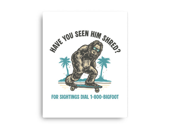 Have You Seen Him Shred