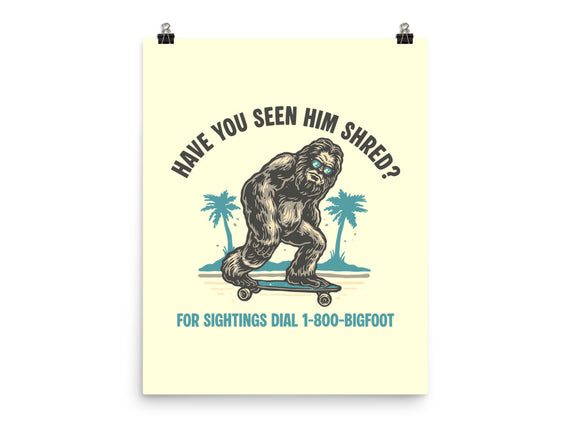 Have You Seen Him Shred