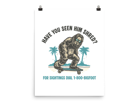Have You Seen Him Shred