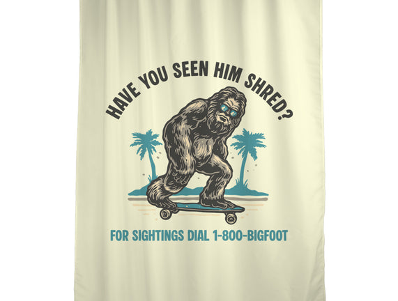 Have You Seen Him Shred