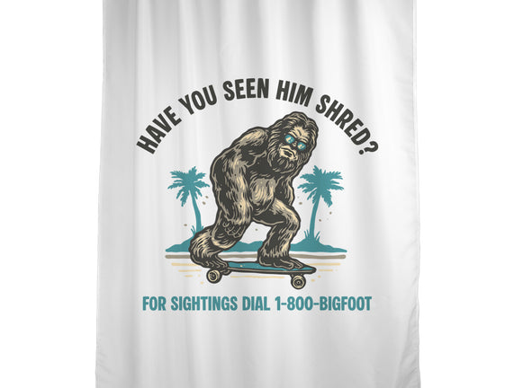 Have You Seen Him Shred