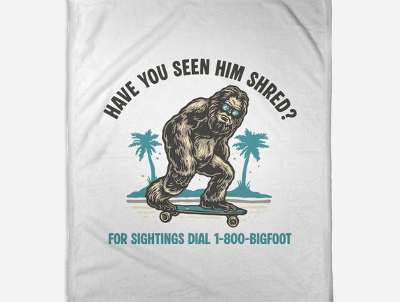 Have You Seen Him Shred