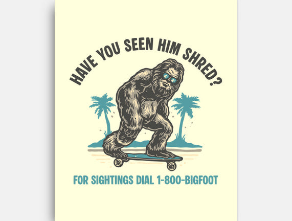 Have You Seen Him Shred