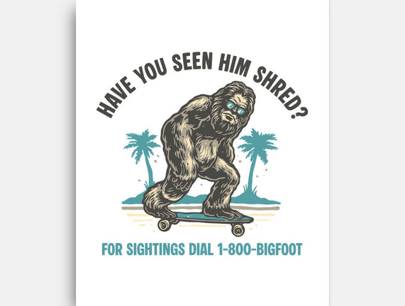 Have You Seen Him Shred