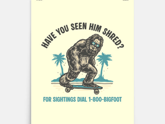 Have You Seen Him Shred
