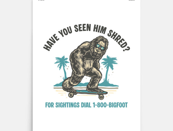 Have You Seen Him Shred