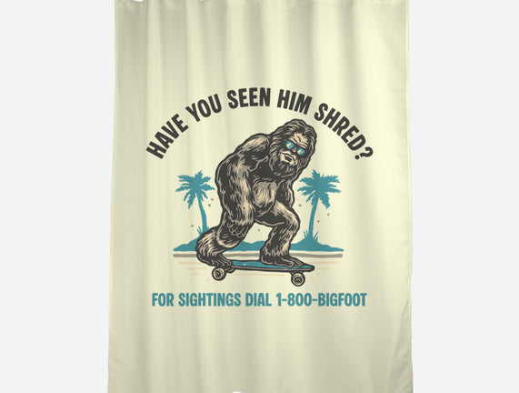 Have You Seen Him Shred