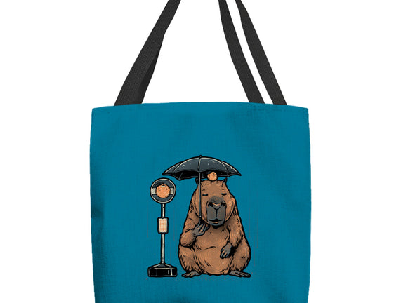 Capybara Bus Stop