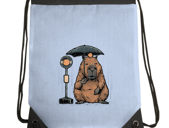 Capybara Bus Stop