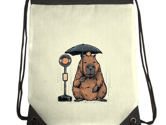 Capybara Bus Stop