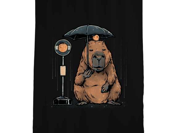 Capybara Bus Stop