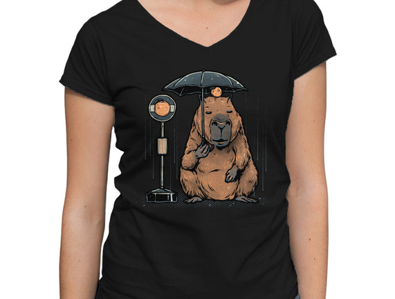 Capybara Bus Stop