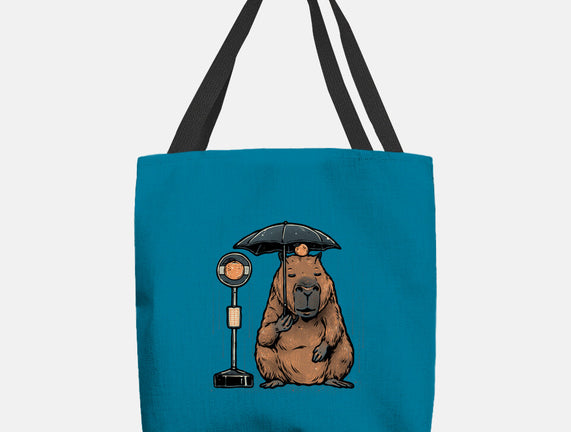 Capybara Bus Stop