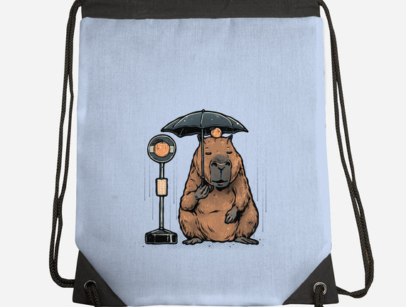 Capybara Bus Stop