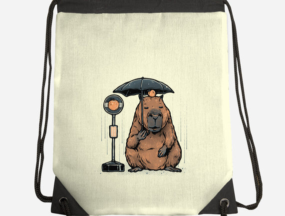 Capybara Bus Stop