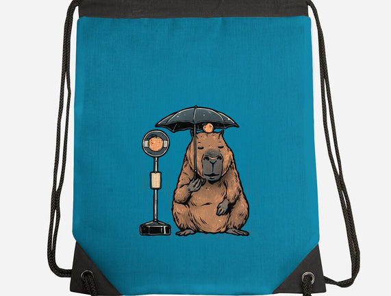 Capybara Bus Stop