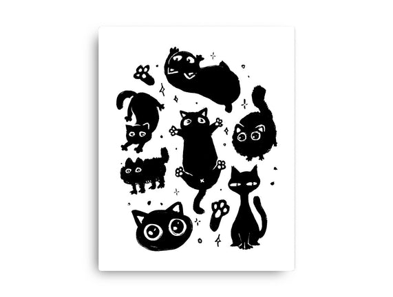 The Black Floofs