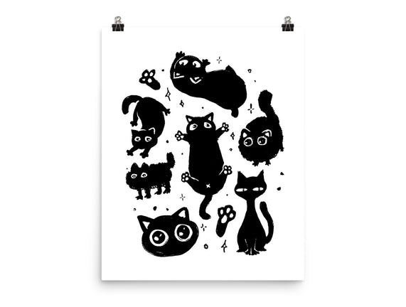 The Black Floofs