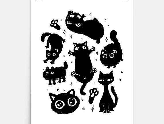 The Black Floofs