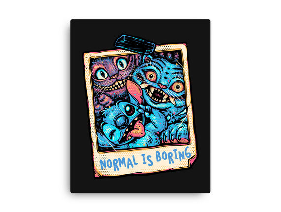 Normal Is Super Boring