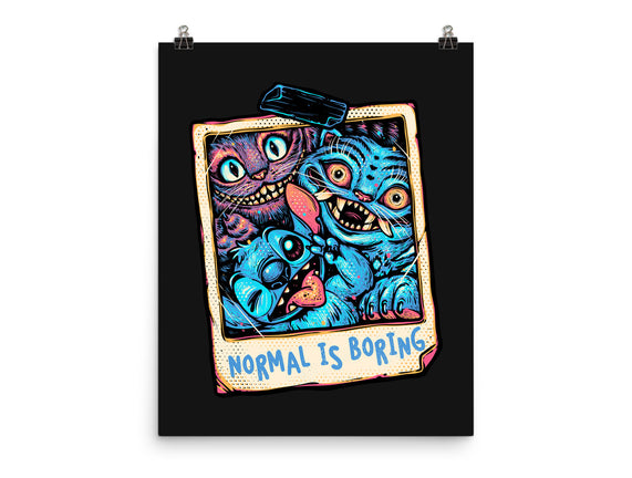 Normal Is Super Boring