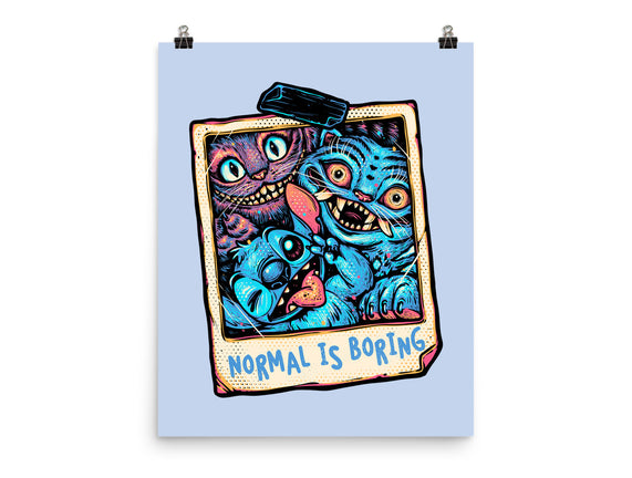 Normal Is Super Boring