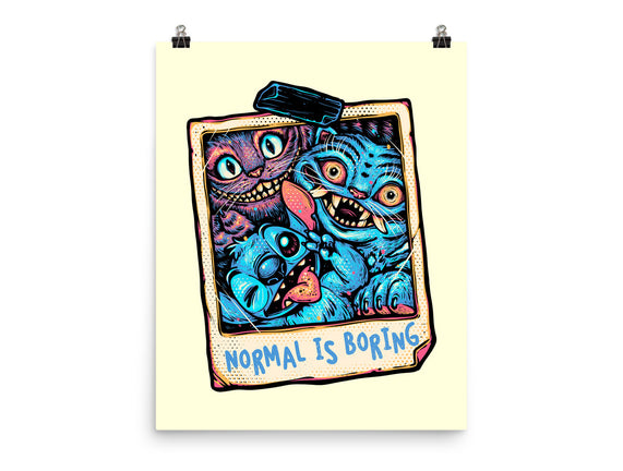 Normal Is Super Boring